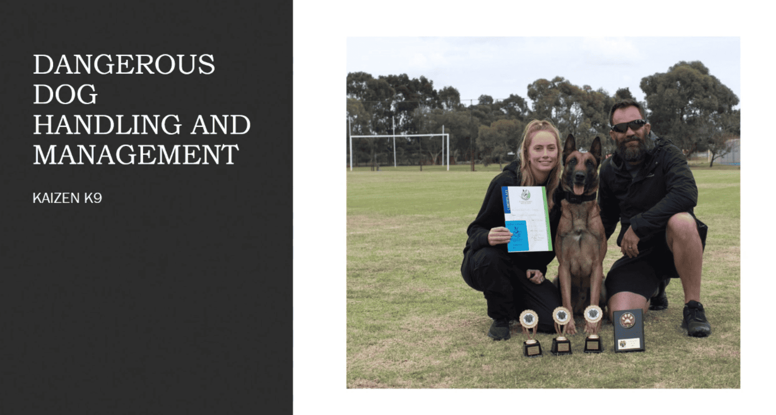 Dangerous Dog Handling and Management